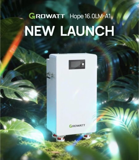 باتری لیتیوم فسفات آهن (LiFePO4) ظرفیت 16 kWh برند GROWATT مدل HOPE 16.0LM-A1