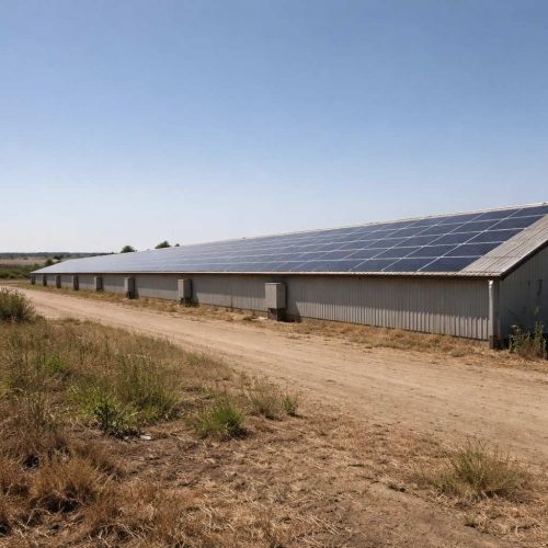 برق خورشیدی مرغداری راهنمای جامع خرید و نصب تجهیزات